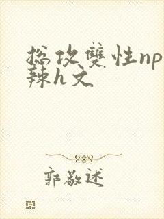 总攻双性np高辣h文封面