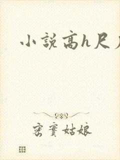 小说高h尺度大封面