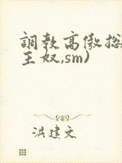 调教高傲总裁(主奴,sm)