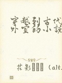 穿越到古代成了外室的小说