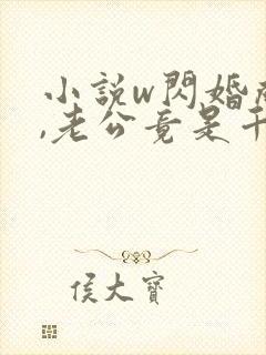 小说w闪婚成宠,老公竟是千亿大佬》