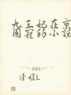 九王妃在京城当团宠的小说