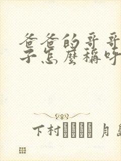 爸爸的哥哥的妻子怎么称呼封面