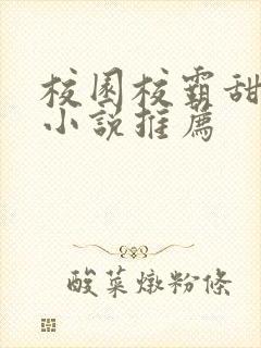 校园校霸甜宠文小说推荐