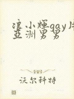 浪小辉gay片亚洲男男