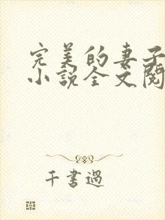 完美的妻子赵岚小说全文阅读封面