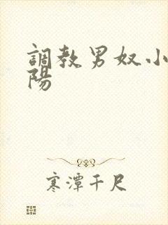 调教男奴小说虐阳