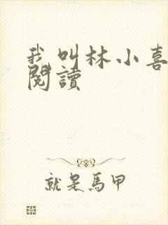 我叫林小喜全文阅读封面