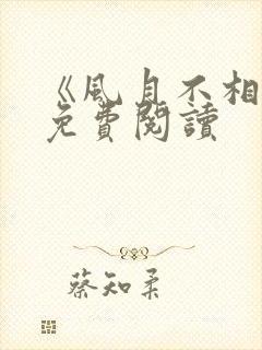 《风月不相关》免费阅读