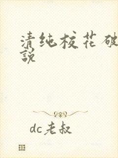 清纯校花破处小说