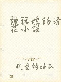 被玩坏的清纯校花小说封面