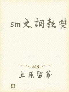 sm文调教双性封面