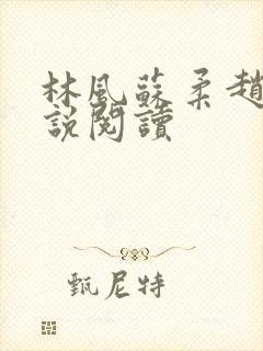 林风苏柔赵刚小说阅读封面