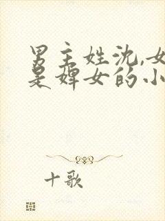 男主姓沈,女主是婢女的小说