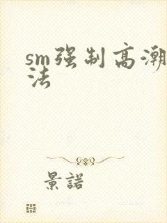 sm强制高潮玩法