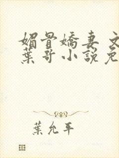 媚骨娇妻 文慧叶哥小说免费阅读