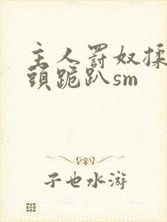 主人罚奴揉捏奶头跪趴sm