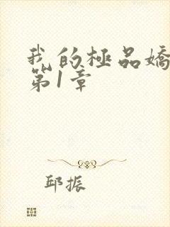 我的极品娇妻 第1章