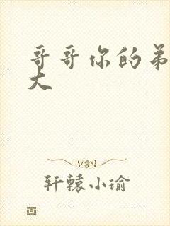 哥哥你的弟弟好大