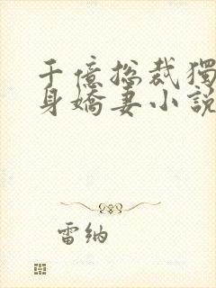 千亿总裁独宠替身娇妻小说版封面