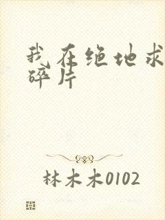 我在绝地求生捡碎片