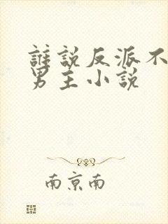 谁说反派不能当男主小说封面