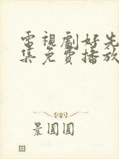 电视剧好先生全集免费播放