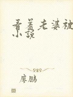 看着老婆被人操小说封面