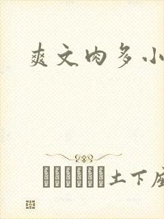 爽文肉多小说