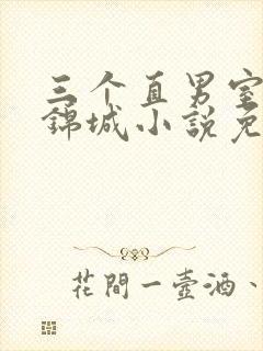 三个直男室友赵锦城小说免费阅读