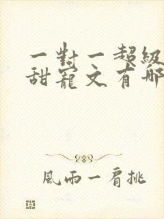 一对一超级肉的甜宠文有哪些封面