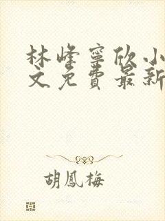 林峰宁欣小说全文免费最新封面