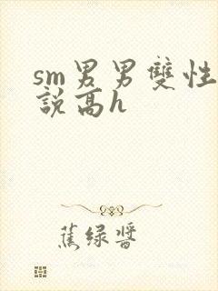sm男男双性小说高h
