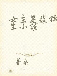 女主是苏锦的重生小说封面