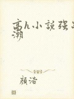 高h小说强制高潮封面