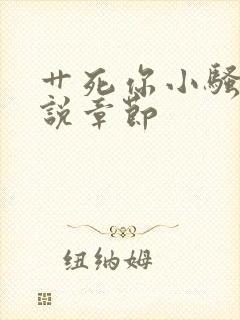 艹死你小骚货小说章节