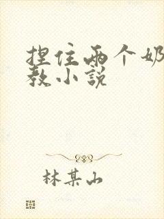 捏住两个奶头调教小说封面