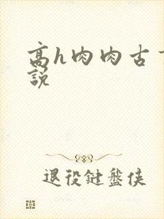 高h肉肉古言小说