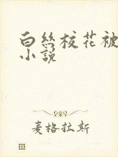 白丝校花被调教小说