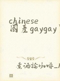 chinese国产gaygay男男网站