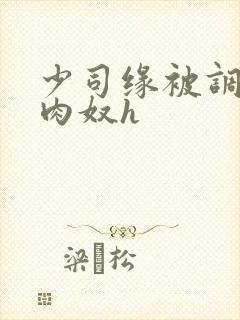 少司缘被调教成肉奴h封面