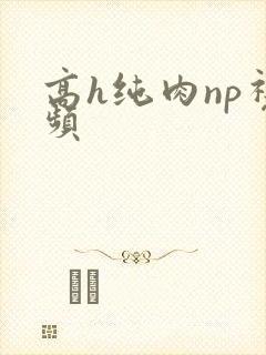 高h纯肉np视频