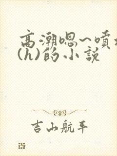 高潮嗯~喷水了(h)的小说