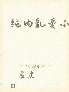 纯肉乱爱小说