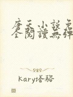 唐天小说免费大全阅读无弹窗封面