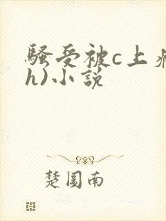 骚受被c上瘾(h)小说封面