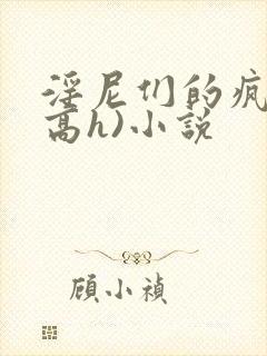 淫尼们的疯狂(高h)小说封面