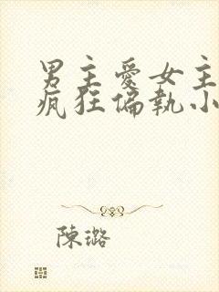 男主爱女主爱到疯狂偏执小说