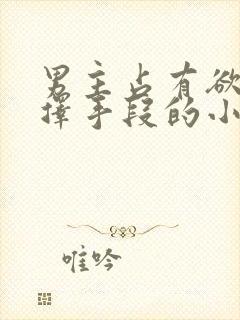 男主占有欲强不择手段的小说