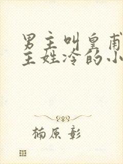 男主叫皇甫绝女主姓冷的小说